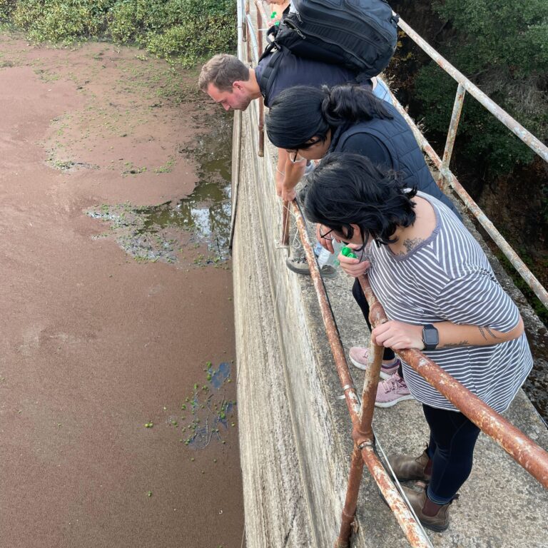 2023: Field Sampling at Japser Ridge